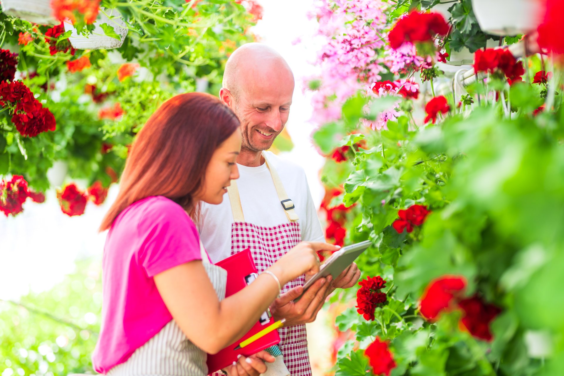 Garden Centre E-Commerce